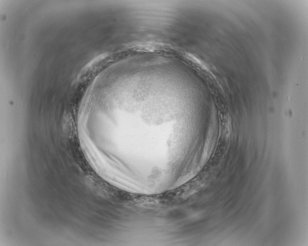 X0000087551446200705112109