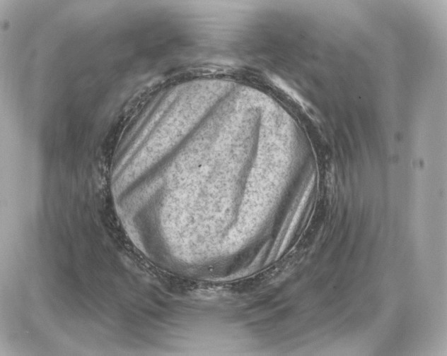 X0000087551447200705112109