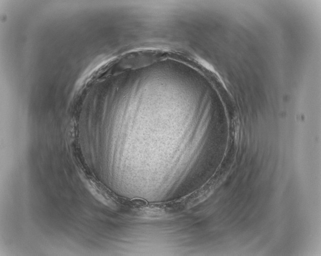 X0000087551448200705112109