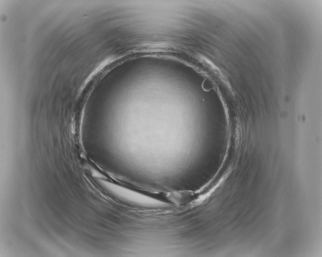 X0000087551449200705112109