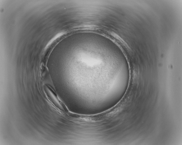 X0000087551450200705112109