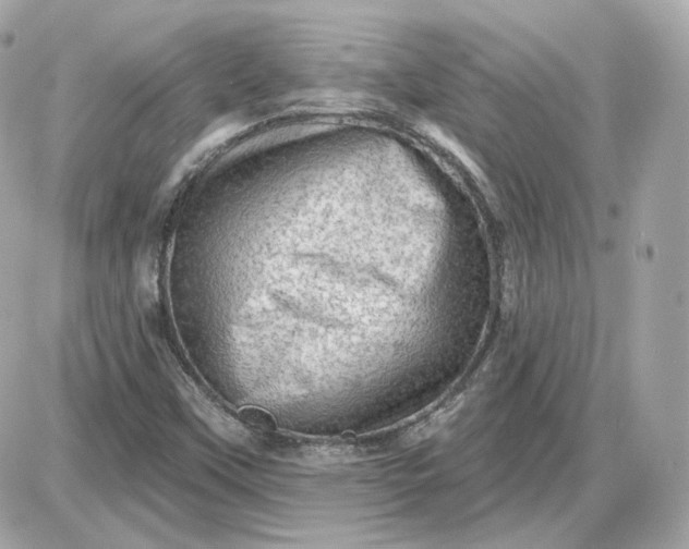 X0000087551451200705112109