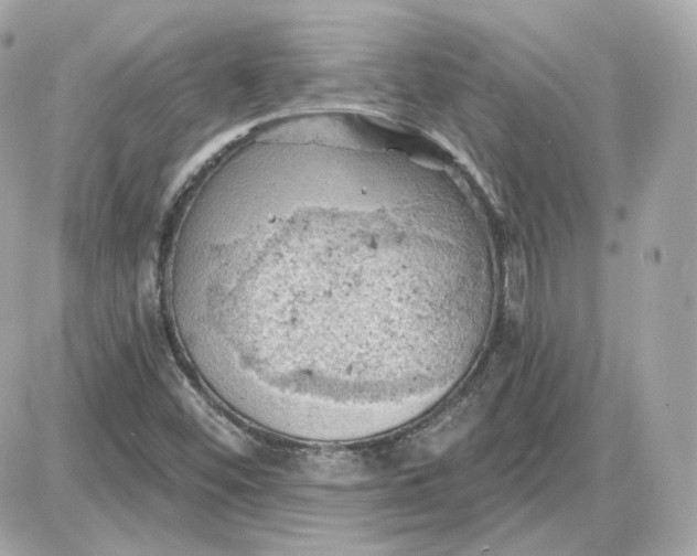 X0000087551452200705112109