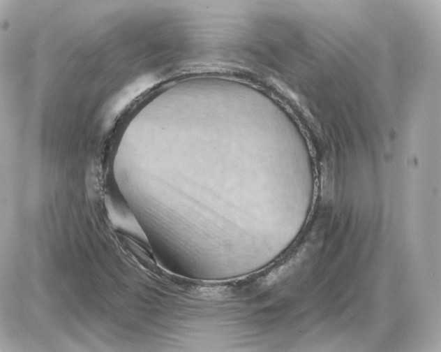 X0000087551453200705112109