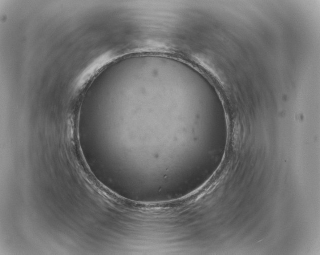 X0000087551455200705112109