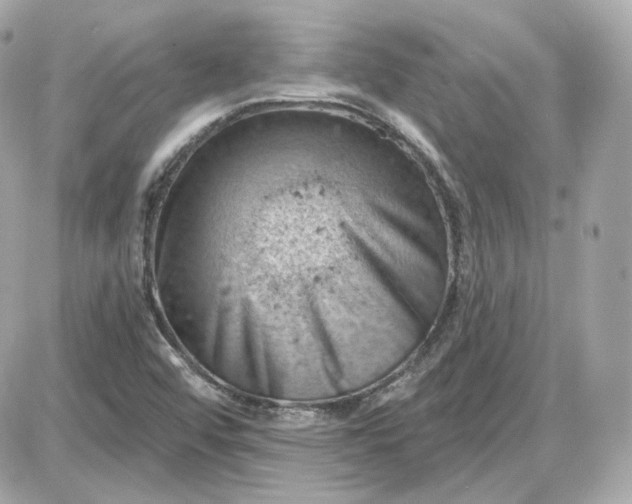 X0000087551456200705112109