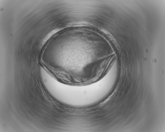 X0000087551457200705112109