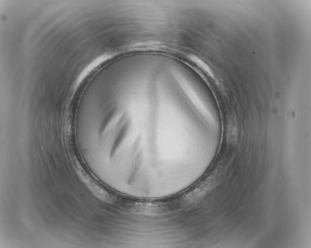 X0000087551458200705112109