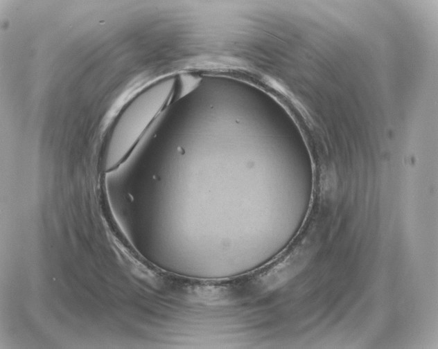 X0000087551459200705112109