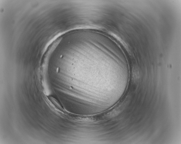 X0000087551460200705112109