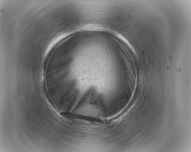 X0000087551461200705112109