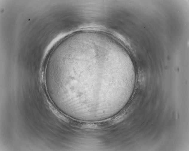 X0000087551462200705112109