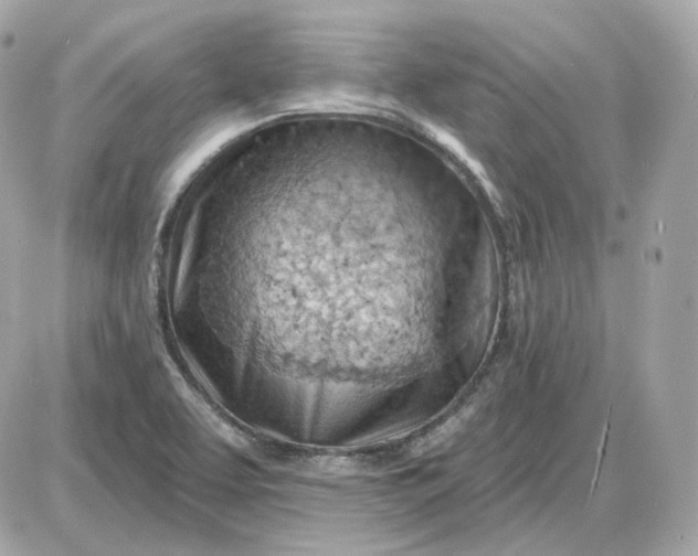 X0000087551463200705112109