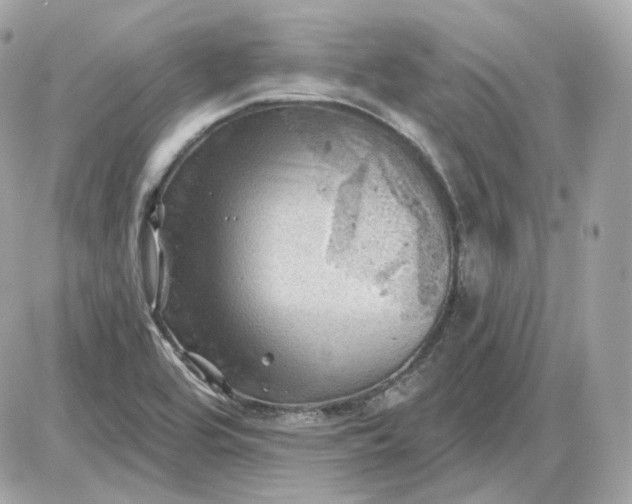 X0000087551464200705112109