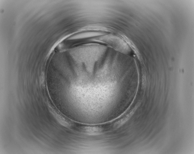 X0000087551465200705112109