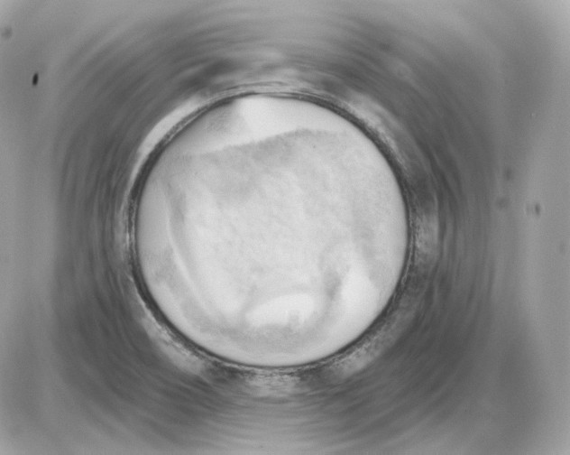 X0000087551466200705112109