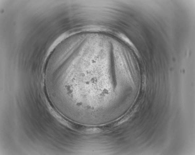 X0000087551467200705112109