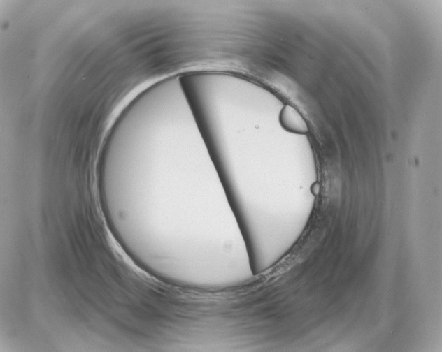 X0000087551468200705112109