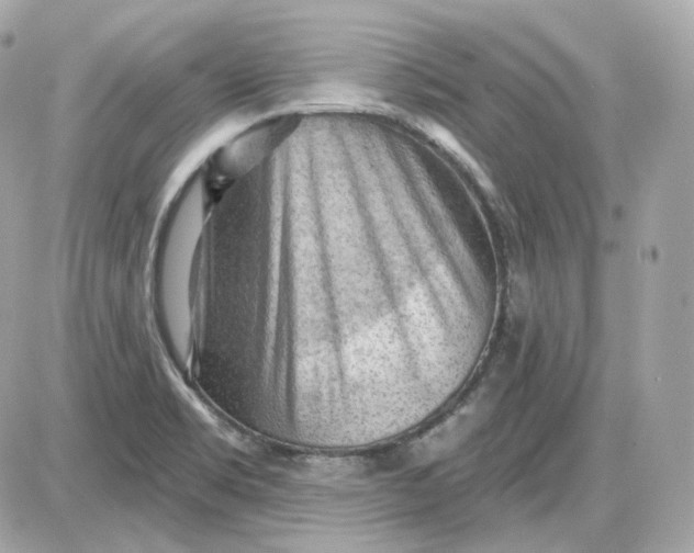 X0000087551469200705112109