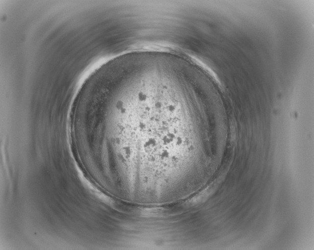 X0000087551471200705112109