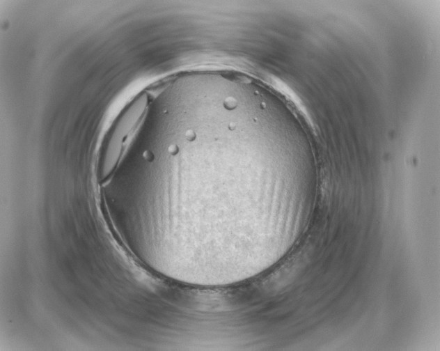 X0000087551472200705112109