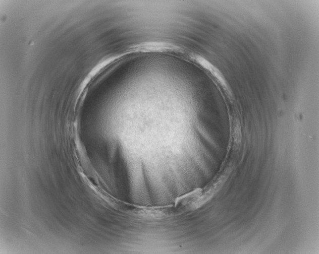 X0000087551473200705112109