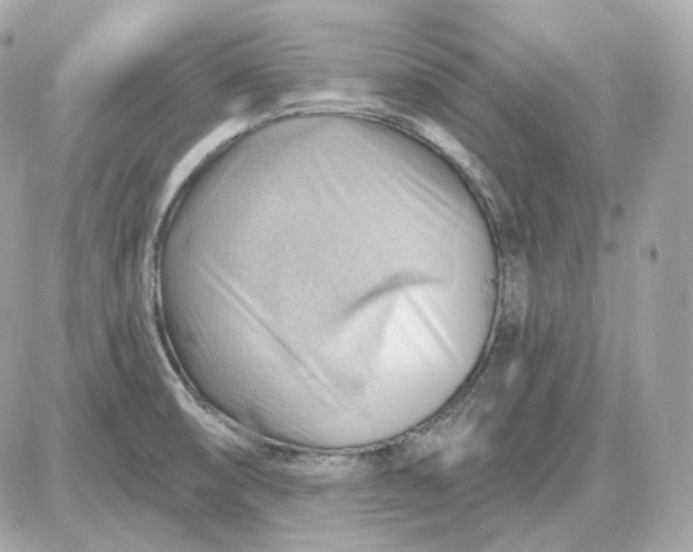 X0000087551474200705112109