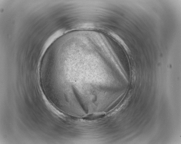 X0000087551475200705112109