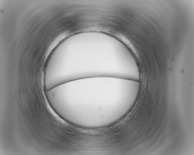 X0000087551476200705112109