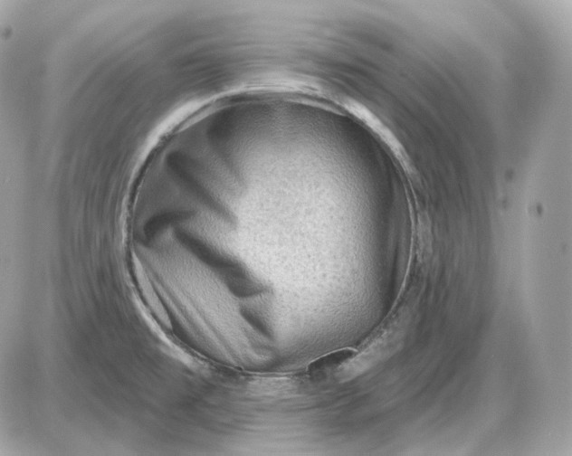 X0000087551477200705112109