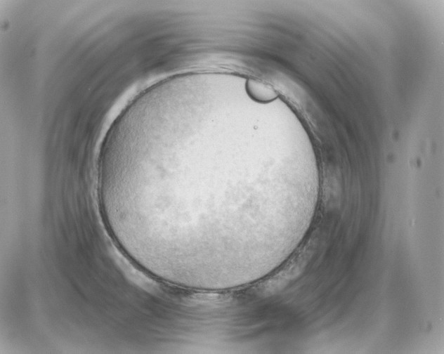 X0000087551478200705112109