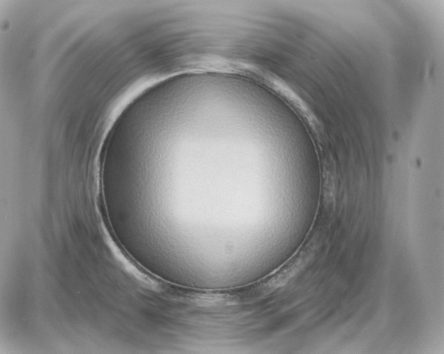 X0000087551479200705112109