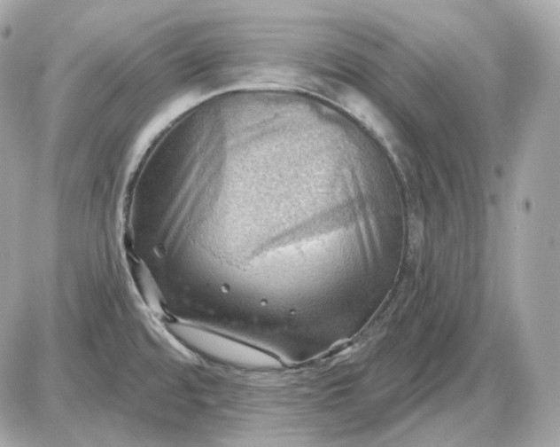 X0000087551480200705112109