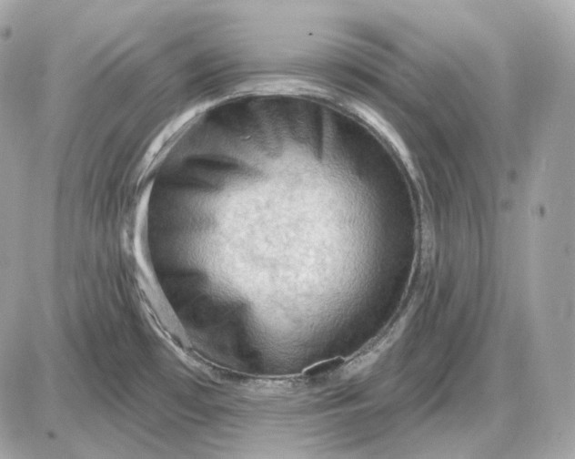 X0000087551481200705112109