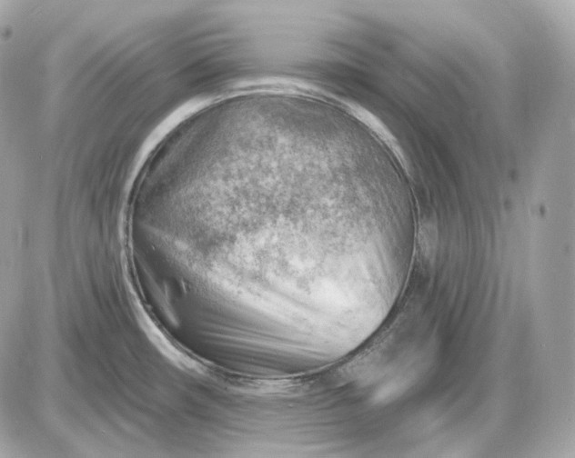 X0000087551482200705112109