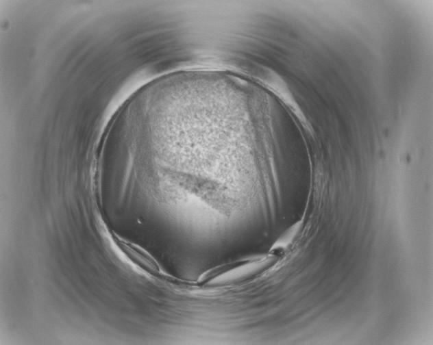 X0000087551484200705112109