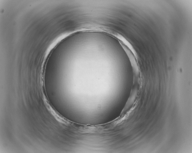 X0000087551485200705112109