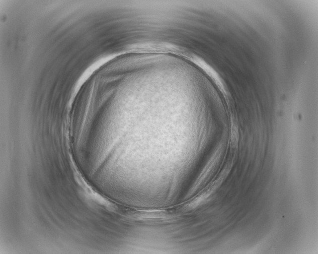 X0000087551486200705112109