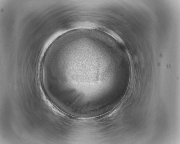 X0000087551488200705112109