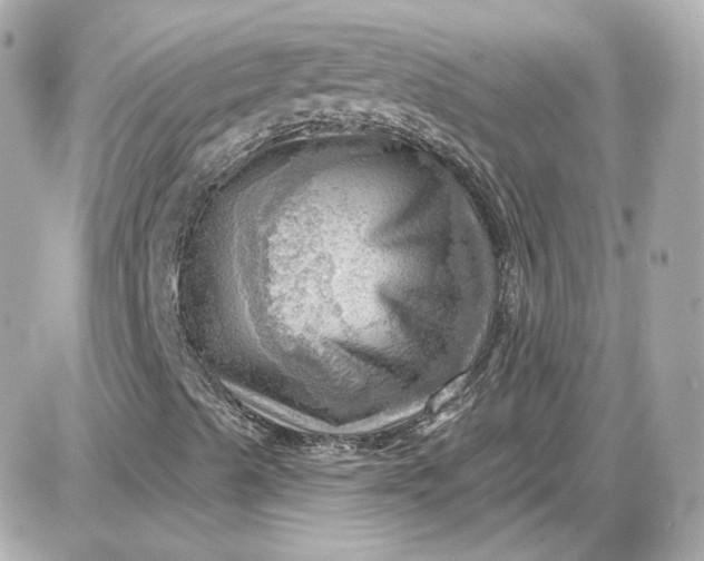 X0000087551489200705112108