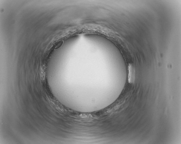 X0000087551491200705112108