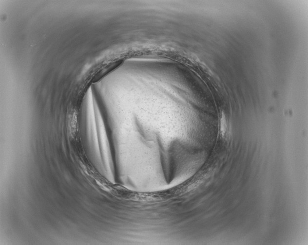 X0000087551492200705112108