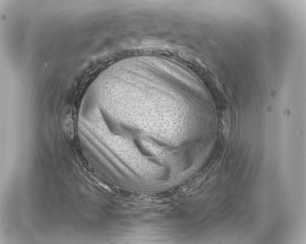 X0000087551493200705112108