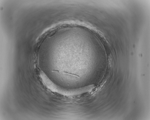 X0000087551494200705112108