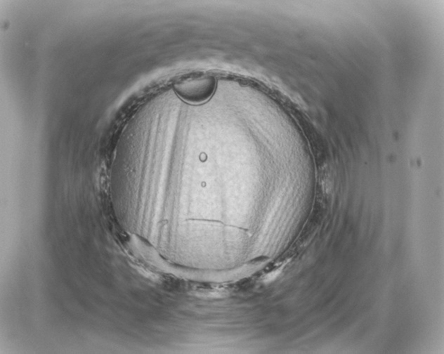 X0000087551495200705112108