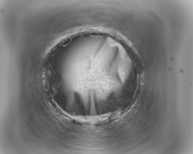 X0000087551496200705112108