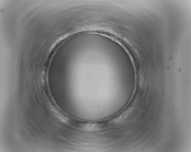 X0000087551497200705112108