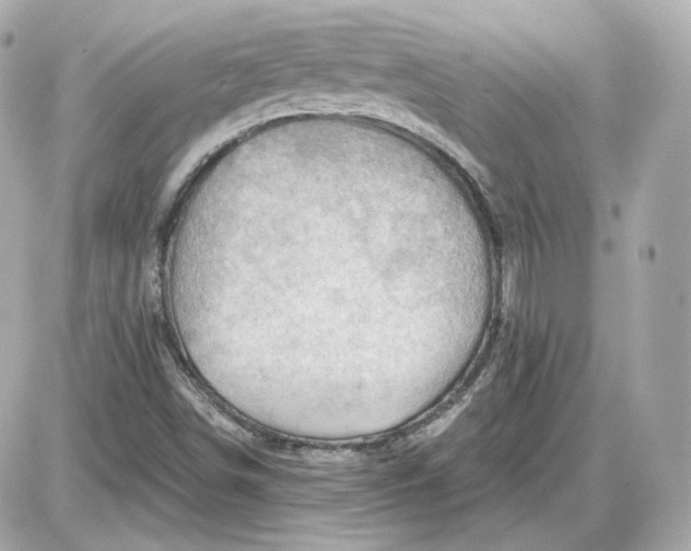 X0000087551498200705112108