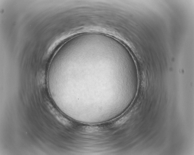 X0000087551499200705112108