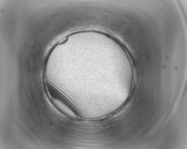 X0000087551500200705112108